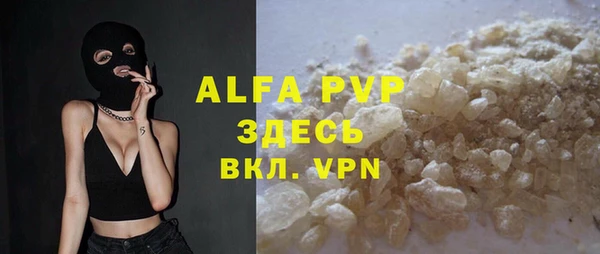 гидра Алексин