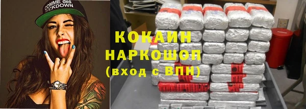 гидра Алексин